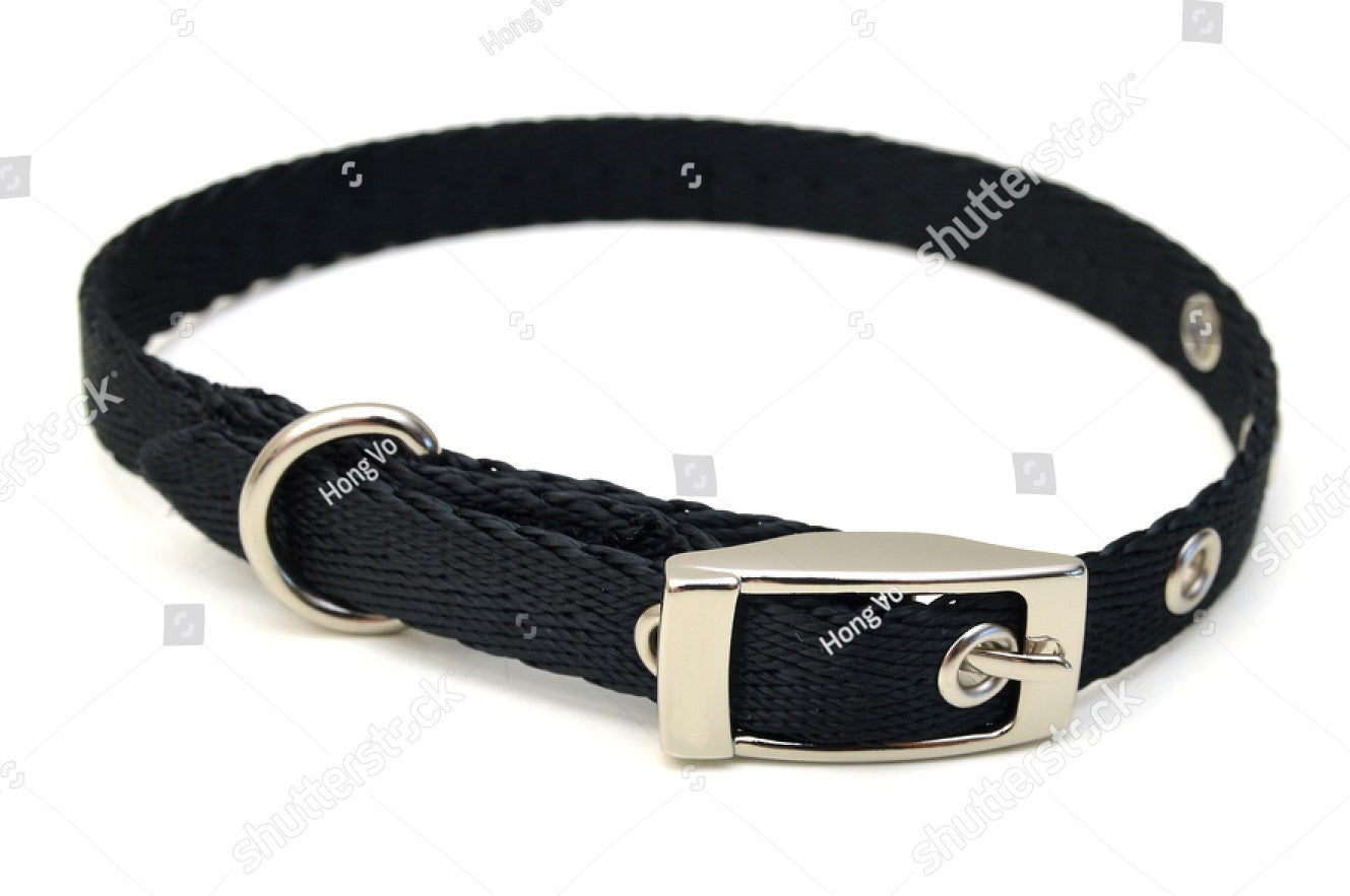 Custom Made Pet Collars