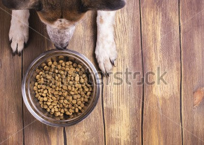 Stainless Steel Dog Bowl