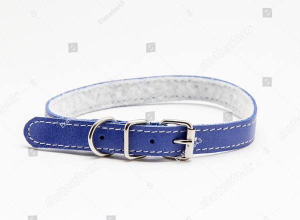 Custom Made Pet Collars